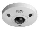 D SANTEC BWNC-1242DFIF (BWNC-842DFIF) / 500348 SA PL7.21