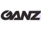 GANZ LZN-NDNC30X PL 4.17 CB B