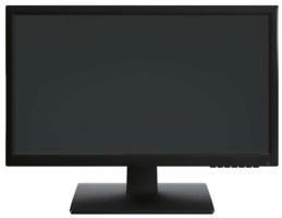 EverFocus FH19LED 19